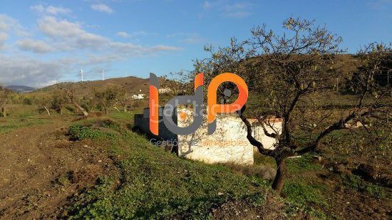 Foto 5f1e875b-3342-4a34-a430-be9647a16f60. Finca rústica a Vélez - Rubio