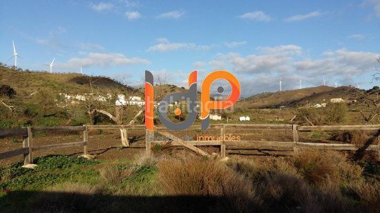 Foto 8355780e-e2bf-456b-b49c-c45886012c5a. Finca rústica a Vélez - Rubio