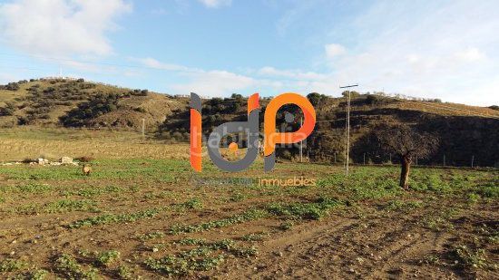 Foto f293934e-d06e-40d5-9350-aeb29fb7e109. Finca rústica a Vélez - Rubio