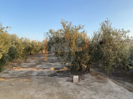 Foto 0bd71d7a-1512-460e-891d-a70197ac0dfc. Landgut in Huércal - Overa