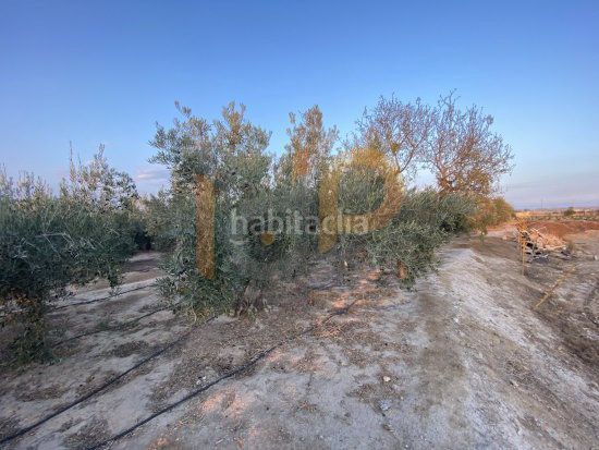 Foto 4156e104-bc71-4799-bda2-481742dfce35. Landgut in Huércal - Overa