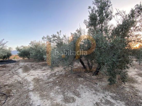 Foto 89b35872-18a0-43d9-93ad-0d70c83ee417. Landgut in Huércal - Overa