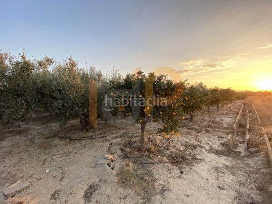 Foto d7a6729f-f34a-4feb-82ef-6648243238eb. Landgut in Huércal - Overa