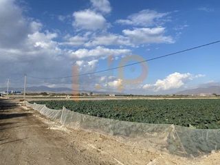 Propriété à Huércal - Overa