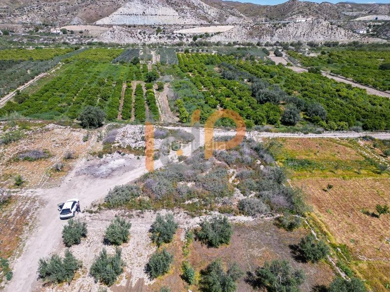 Foto 357baa33-08c0-4b95-8bea-3b86223cbd60. Finca rústica a Arboleas