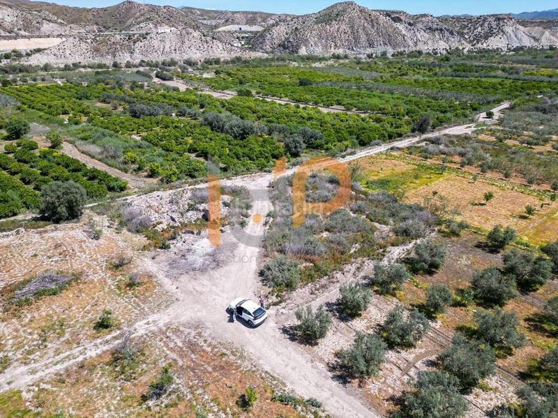 Foto 3f24c3fd-b122-447f-834e-cc394affcbb3. Finca rústica a Arboleas