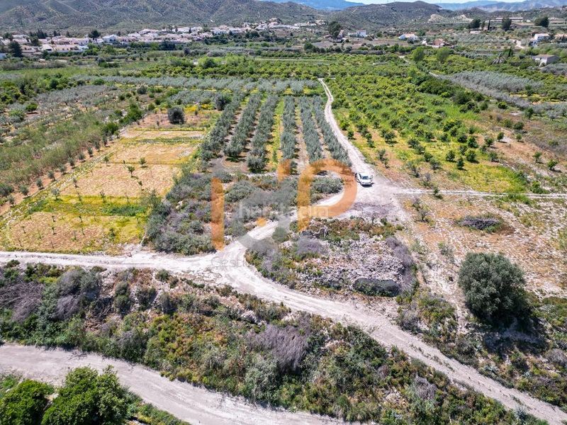 Foto d7383d86-4264-43e8-8a57-90abc13f59b2. Finca rústica en Arboleas