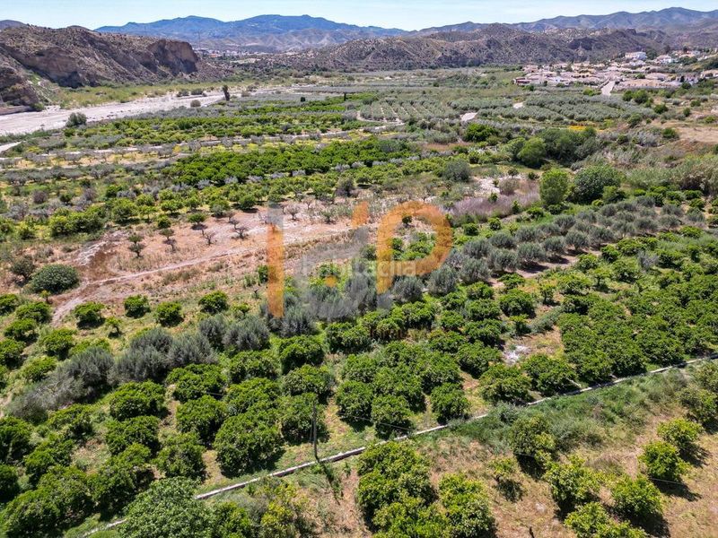 Foto 07da9ade-1a1e-4b6c-8ac6-cfe1607faefc. Finca rústica a Arboleas