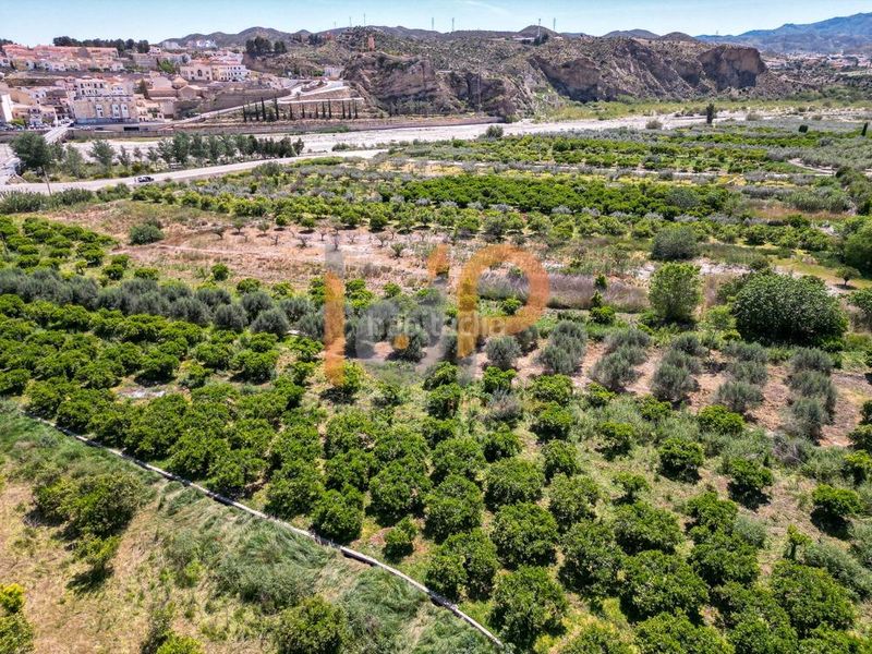 Foto 22378577-d936-4843-afc9-610ef0e108b4. Finca rústica a Arboleas