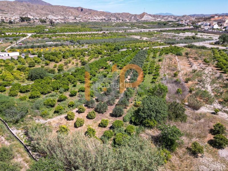 Foto 2b02c37b-0038-4ad4-8eb6-8b672bf206c9. Finca rústica a Arboleas