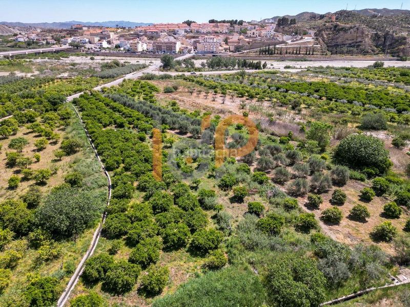 Foto 64ac1cbe-c732-4922-888d-8b5c09741ae2. Finca rústica a Arboleas