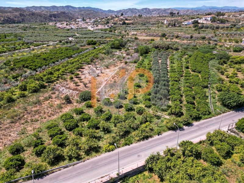 Foto 8a9eeac4-6f25-4c67-bb16-f93d666c7fad. Finca rústica a Arboleas