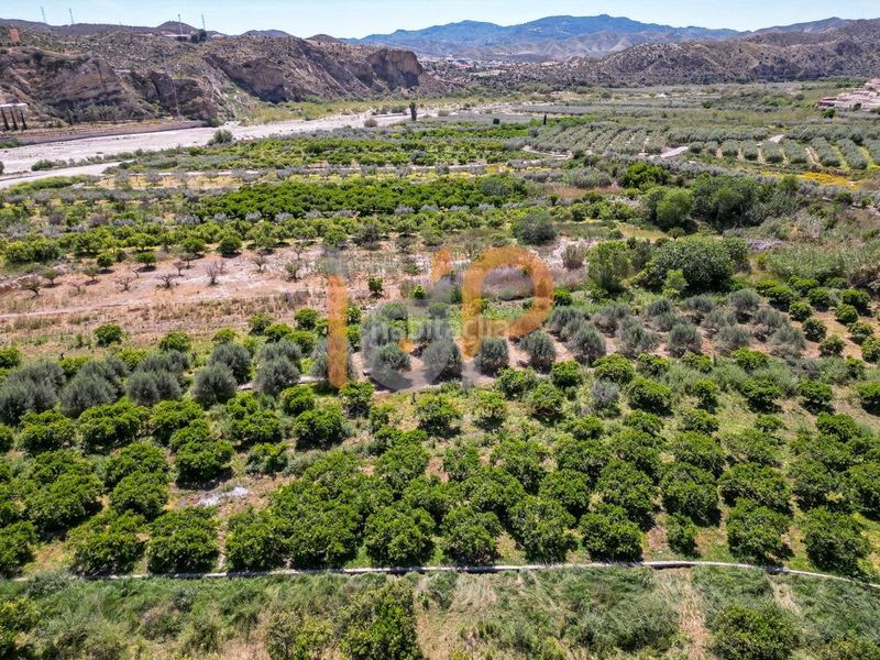 Foto a772d369-004f-4f7f-90a8-6e2c3ff1713e. Finca rústica a Arboleas