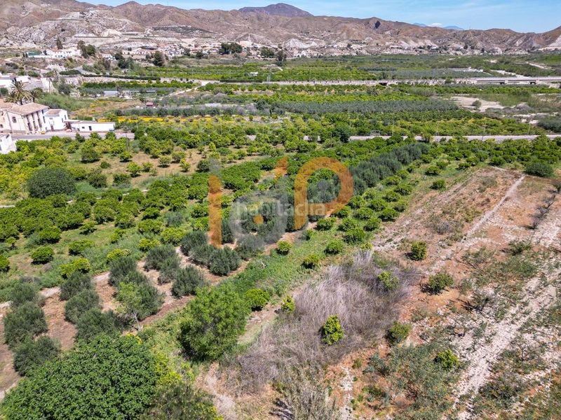 Foto a9c87328-31f0-4e50-b987-729cb8d04df6. Finca rústica a Arboleas