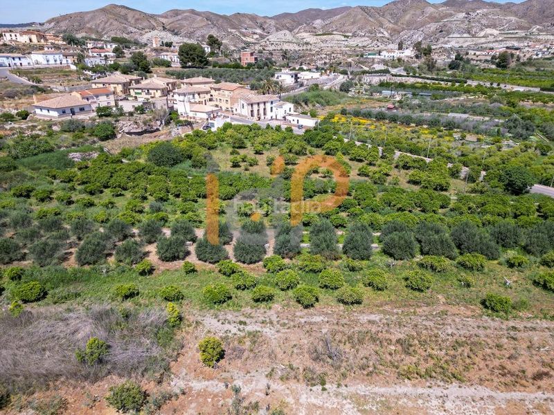 Foto cab3d5fd-8bb8-43ff-a0ad-c5db59c4de6f. Finca rústica a Arboleas