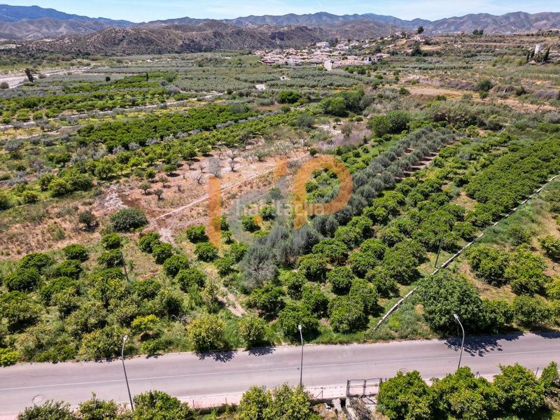 Foto dce77476-b53f-4fa1-89cf-dfbbbae34f6e. Finca rústica a Arboleas