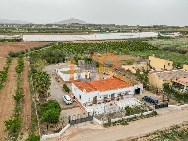 Foto 9abed583-59a2-4c68-90ce-0c0a8cdb9d81. Casa amb aparcament a Huércal - Overa