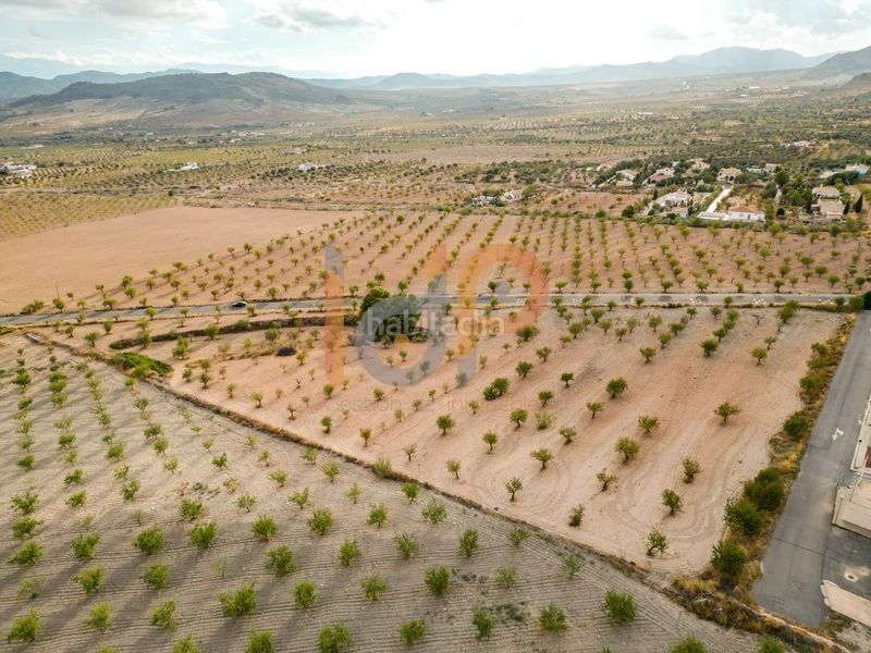 Foto 45211bd8-da43-41ee-8b02-62225b7d763d. Finca rústica en Oria