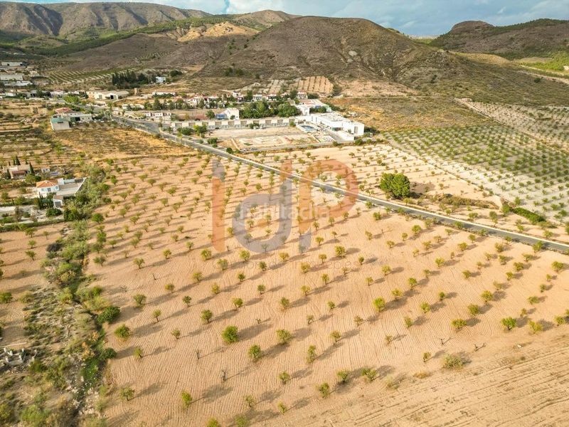 Foto 8e6c9e4e-6ab1-4339-9332-23382042d07d. Finca rústica en Oria