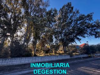 Wohngrundstück in San Roque - La Cruz - La Rozuela. Preciosa parcela urbana con importante sombras
