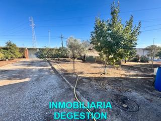 Bauernhof in San Roque - La Cruz - La Rozuela. Parcel con olivos-agua y luz