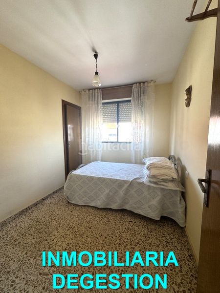 Foto b05d6320-19ab-44df-8fb2-ecc8208ffe9a. Pis a Linarejos Linares