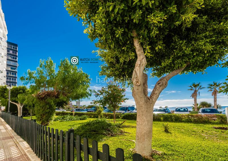 Foto 86b87065-8c40-45a9-8ae5-52e20c6b7fd1. Alquiler apartamento en Cotobro Almuñécar
