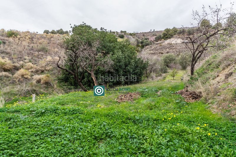 Foto 44a85a4c-26d7-4820-9d9b-e71368b48f70. Lloguer casa a Torrecuevas - Lomas del Gato Almuñécar