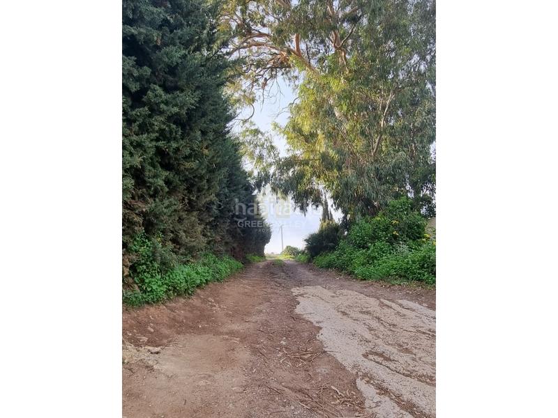 Foto 1123229e-09cf-4260-8ba1-5f64cabf837f. Casa terreno rustico en Casares pueblo Casares