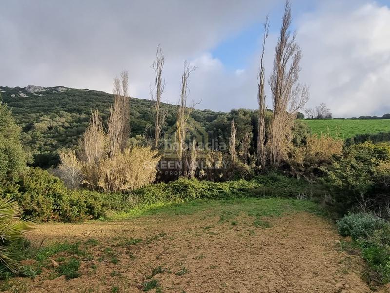 Foto 5f463a9b-a8ac-4a9c-b663-9778f7aafcf8. Casa terreno rustico en Casares pueblo Casares