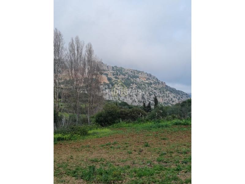 Foto 68947631-d400-4692-9ad3-e94bcf6e918f. Casa terreno rustico en Casares pueblo Casares