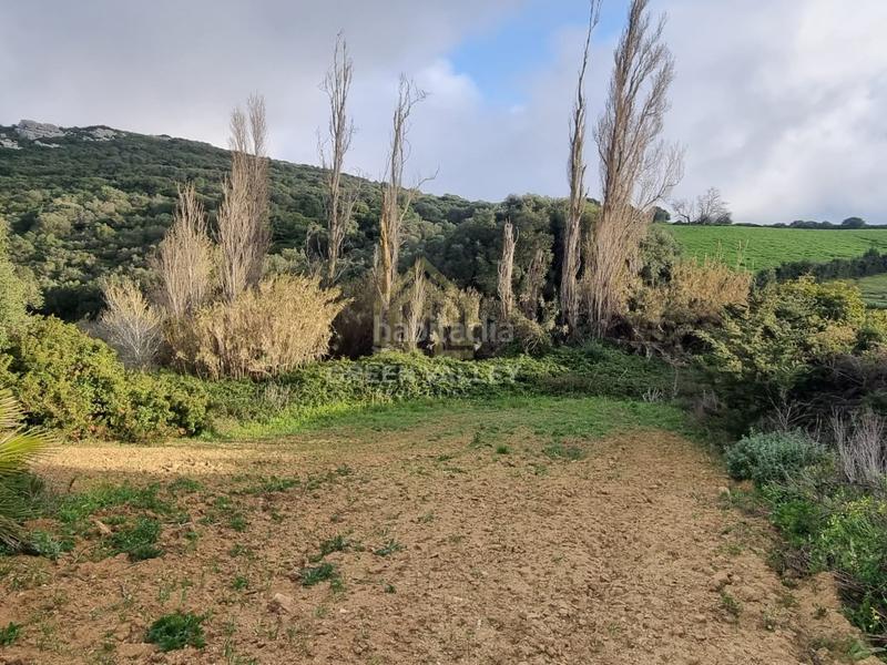 Foto 7a12db9c-df34-471d-a58d-903122567bf6. Casa terreno rustico en Casares pueblo Casares