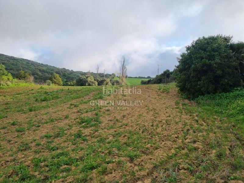 Foto a7ab0d81-b882-4aa4-bb3a-e03db7afa5bb. Casa terreno rustico en Casares pueblo Casares