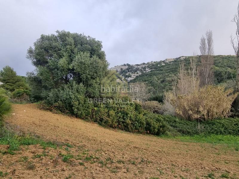 Foto ccf70e9f-0c87-4f4c-8da8-623f077736cc. Casa terreno rustico en Casares pueblo Casares