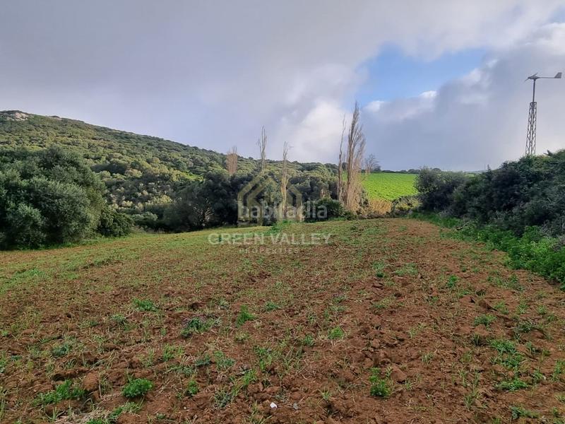 Foto d4e4bb48-a9c3-4c93-ae14-5dcfc3151c4d. Casa terreno rustico en Casares pueblo Casares
