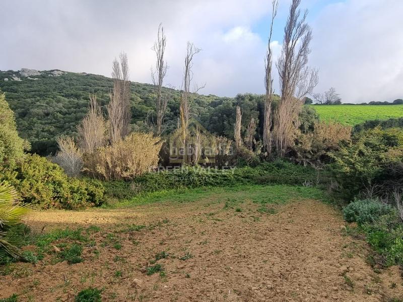 Foto e3922800-94c2-458a-a256-37efcb2b9780. Casa terreno rustico en Casares pueblo Casares