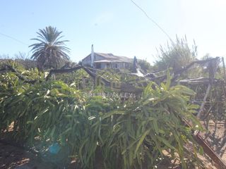 Bauernhof  Poligono 2 paraje 2 aguzaderas. Se vende finca de 5000 metros , con vivienda escriturada de 257
