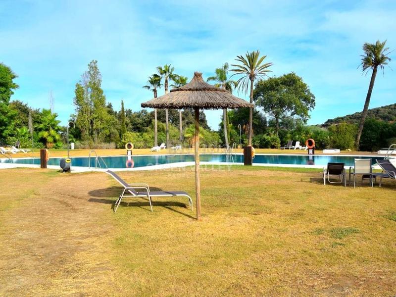 Foto c9ecaf65-3608-41f1-9e1a-c609fec76bab. Piccolo appartamento con piscina in Sotogrande alto Sotogrande