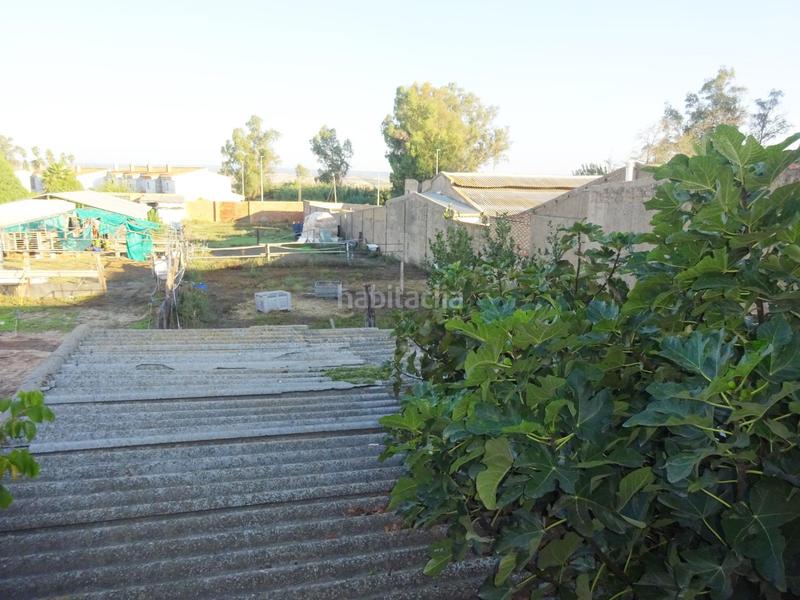 Foto 6a98e2b0-5c3c-43c1-96f2-0eb232a036f0. Bâtiment à usage industriel dans Palma del Condado (La)