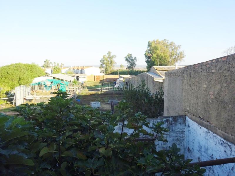 Foto 83ea270d-8da2-469f-b2de-65625fb1ca7b. Bâtiment à usage industriel dans Palma del Condado (La)