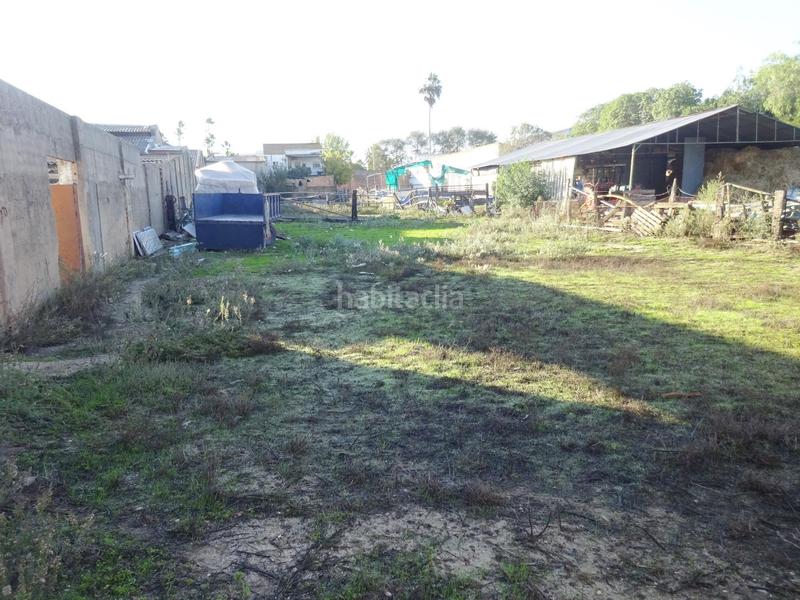 Foto db74a4a7-ed7f-4c7e-8f9c-7268f5231755. Bâtiment à usage industriel dans Palma del Condado (La)