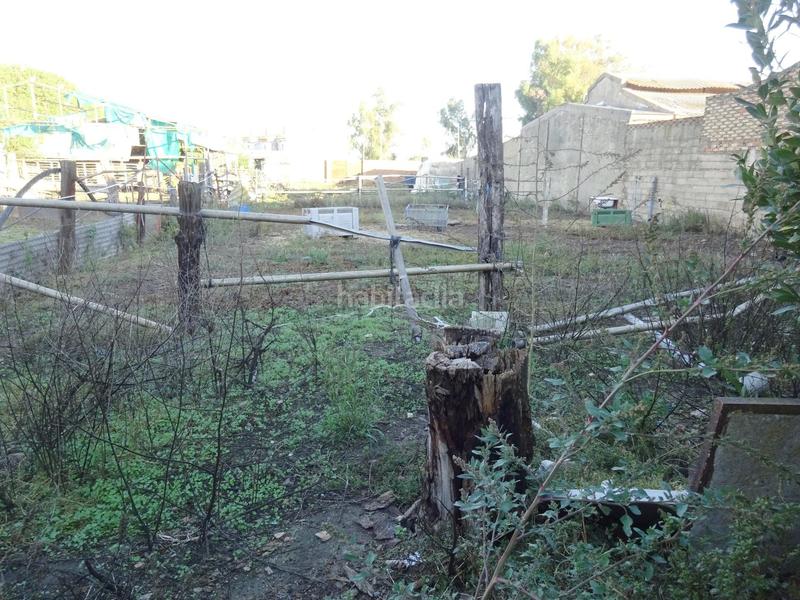 Foto ede7e267-e19e-44bd-adff-9cf949af6028. Bâtiment à usage industriel dans Palma del Condado (La)