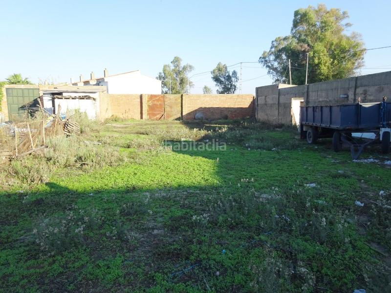 Foto f93d7d7e-f364-4ae1-96fd-a3583e1c7b40. Bâtiment à usage industriel dans Palma del Condado (La)