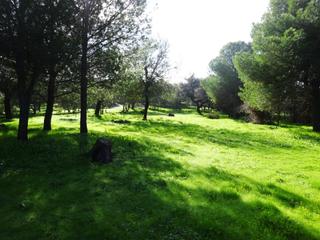 Masia a Castilblanco de los Arroyos. Atención !! chalet independiente de una planta en finca de 4.000