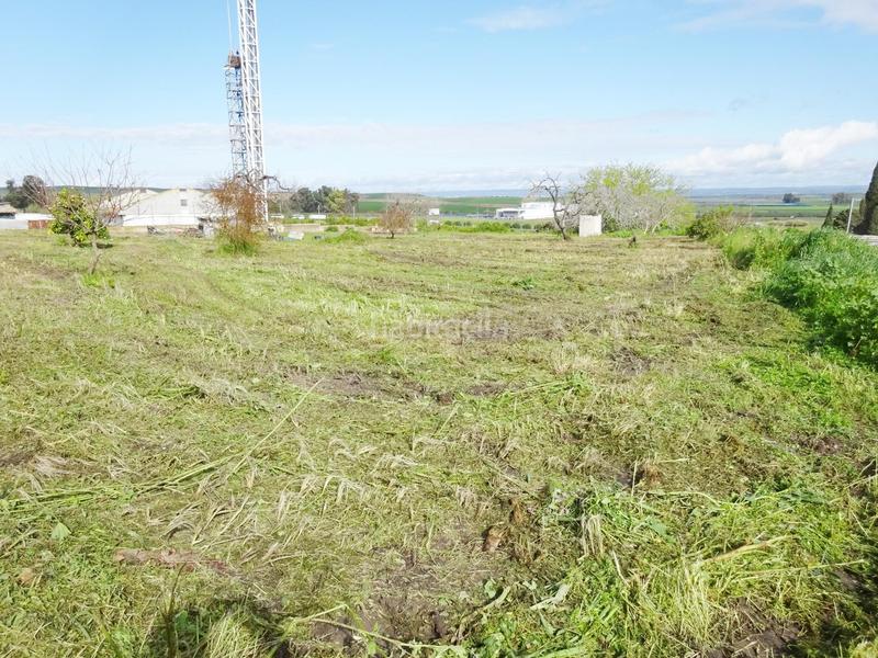 Foto 0ed4dde9-c1f7-479c-902b-a9ca5394b575. Wohngrundstück in Huévar