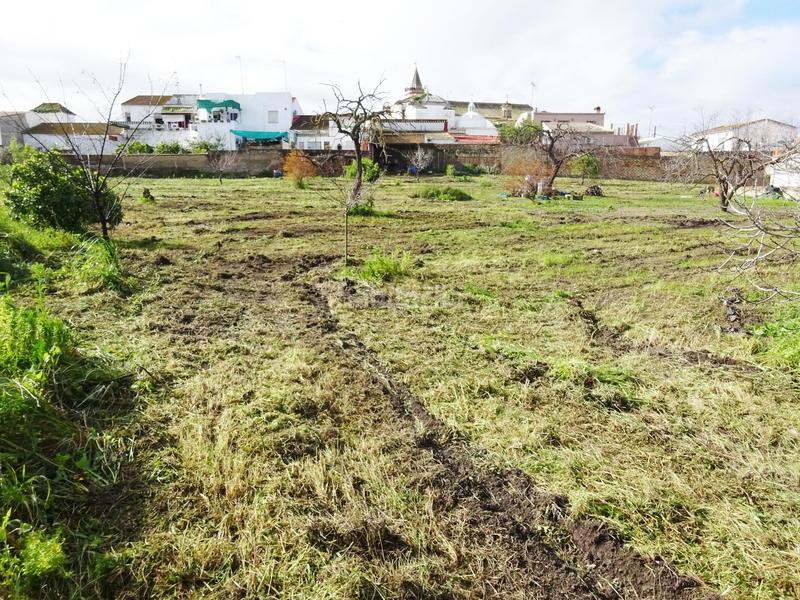 Foto 2528d640-33e0-47f0-bbc4-25456cd5f028. Wohngrundstück in Huévar