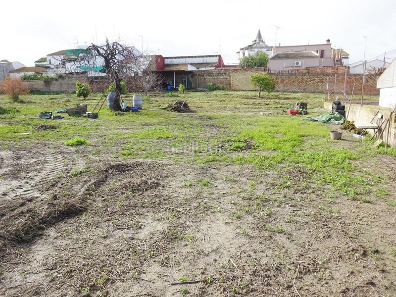 Foto 25d9f5a0-4422-424f-8970-99b41150b8ac. Wohngrundstück in Huévar