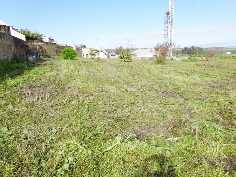 Foto 2e464d81-cfa2-4384-bf75-35db6c184d2d. Wohngrundstück in Huévar