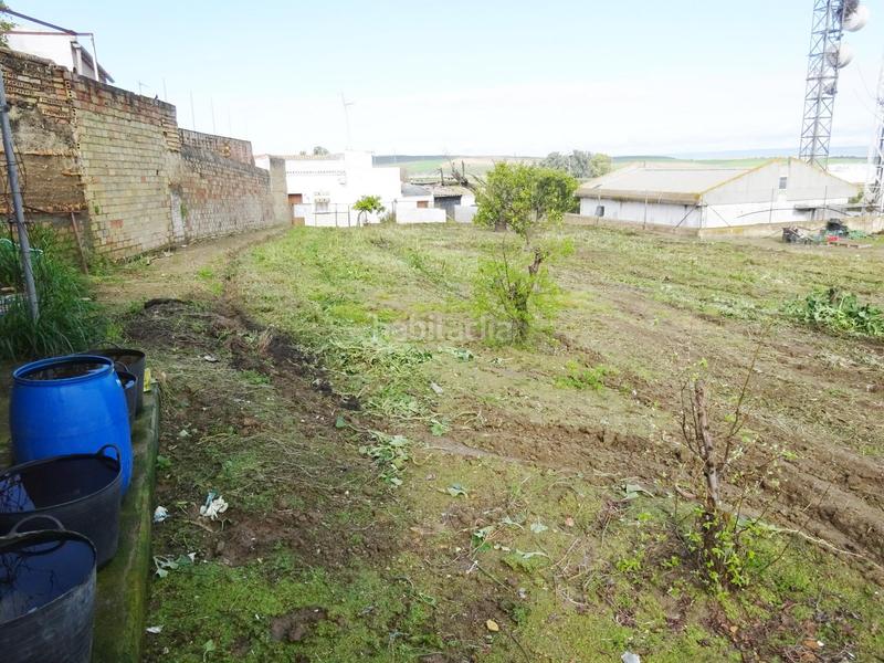 Foto 36c4d1f3-26bb-4af5-862a-e6be329bfeca. Wohngrundstück in Huévar