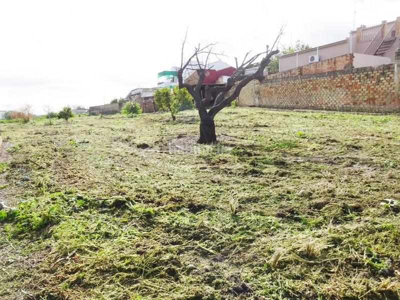 Foto 389d75cb-65ae-46fb-873d-67aecc976e61. Wohngrundstück in Huévar